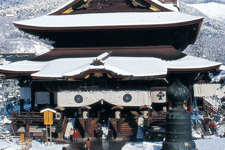 From Tokyo & Nagano: Snow Monkey Private Customizable Tour