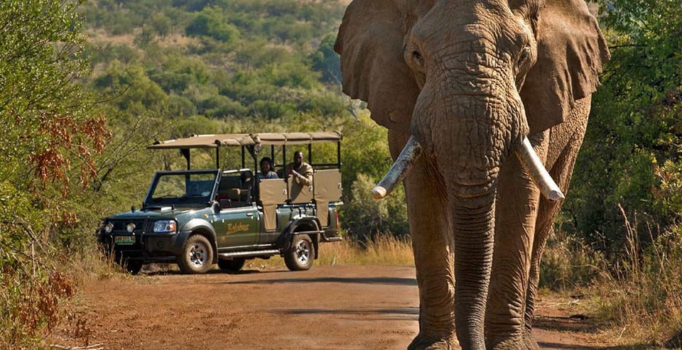 Kruger Park 共享全日旅行车道,来自Hazyview - Hizvo