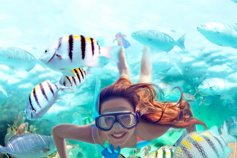 From Riviera Maya: Xel-Há All-Inclusive Park Entrance to Xel-Há Park with Lunch Included