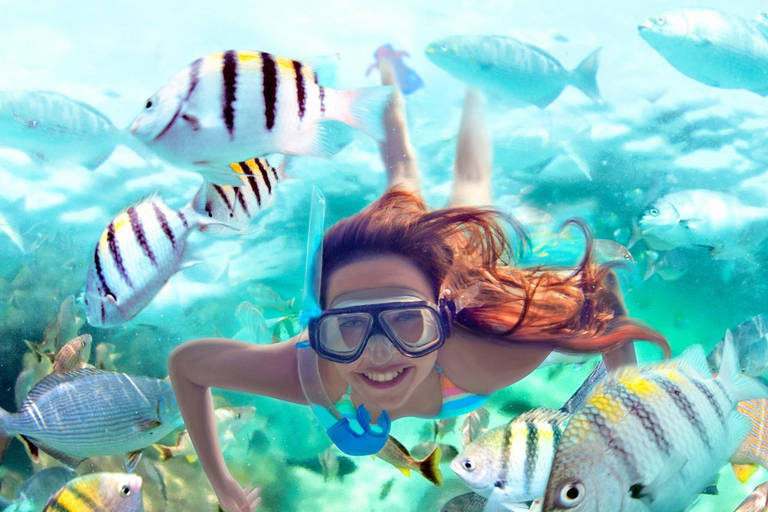 From Riviera Maya: Xel-Há All-Inclusive Park Entrance to Xel-Há Park with Lunch Included