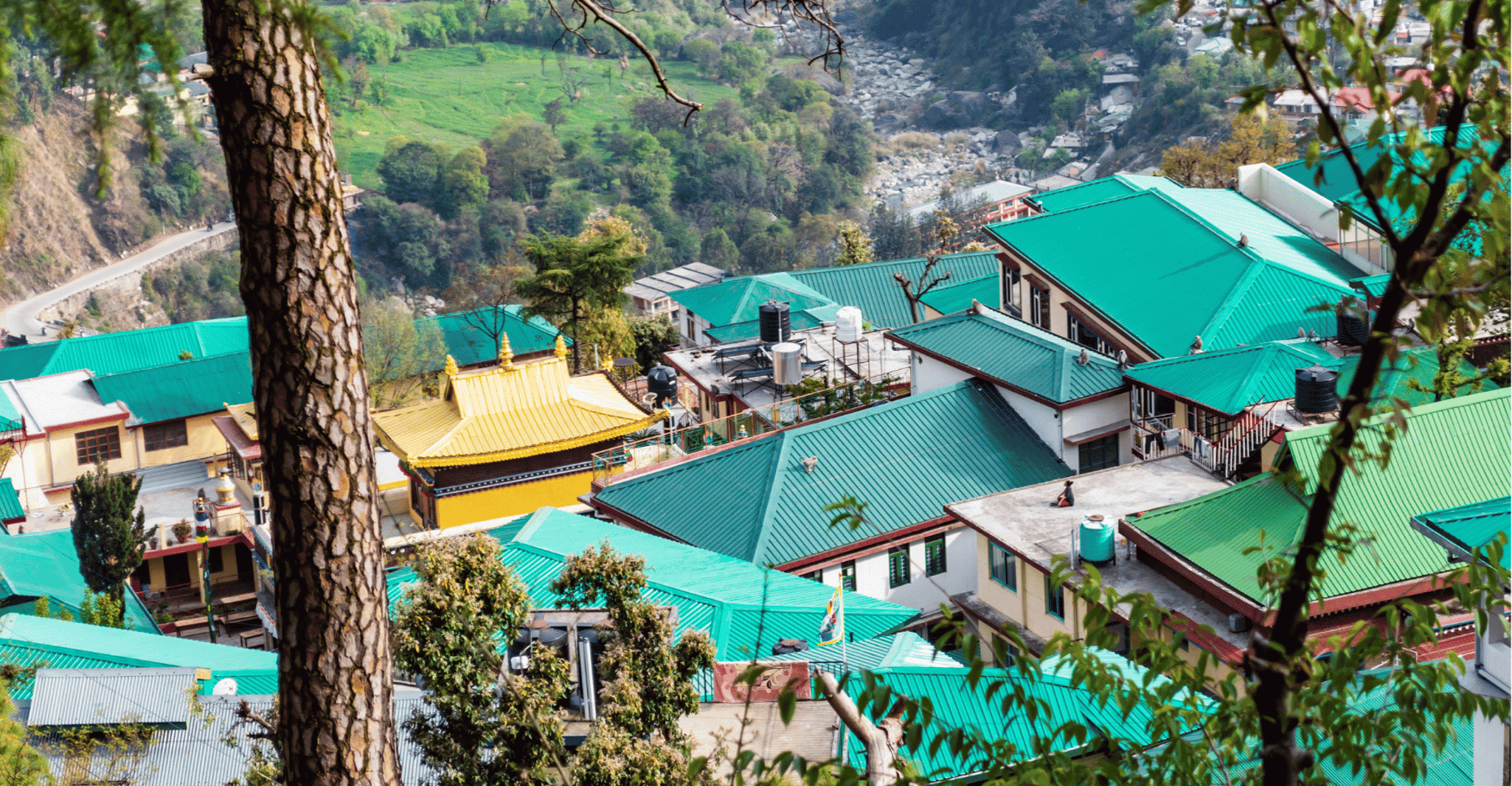 Mcleodganj Nature Trek (3 Hours Guided Walking Tour) - Housity