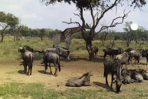 Lamu: 3-Day Boni National Park Camping Tour