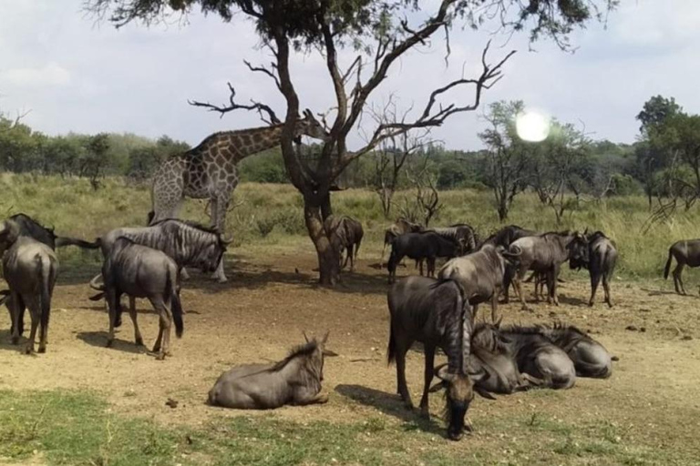 Lamu: 3-Day Boni National Park Camping Tour