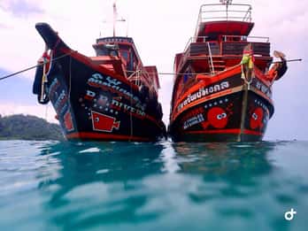 Ko Kut: Private boat trip to Koh Rang the National Park