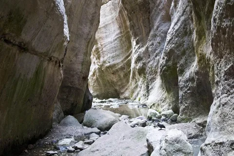 Paphos : visite d'une demi-journée en jeep de la péninsule d'Akamas (privée)