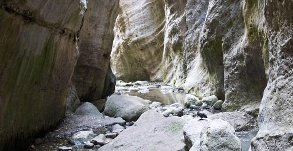 Paphos: Half Day Jeep Tour Akamas Peninsula (Private)