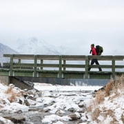 Banff: Erkundung der Winter-Naturwanderung - Inklusive Eisstollen 2H