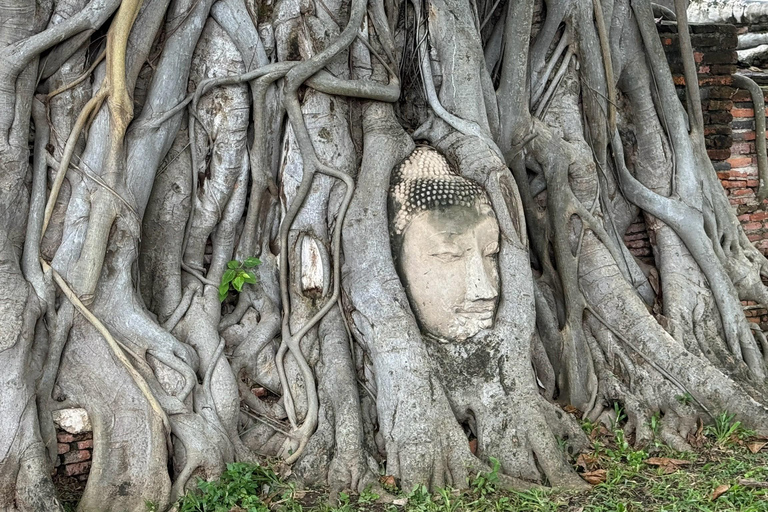 Ayutthaya 7 Temples Tour with Train, VIP Van, & Lunch