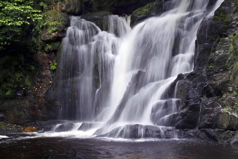 Torc waterfall & mountain hike. Kerry. Private guided. - Image 2