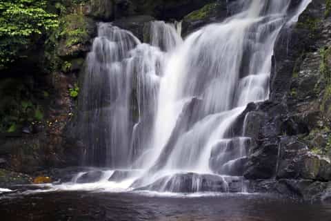 Torc waterfall & mountain hike. Kerry. Private guided. - Image 3