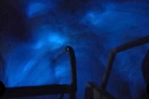 Luminous lagoon : Night Tour from Ocho Rios and Runaway Bay