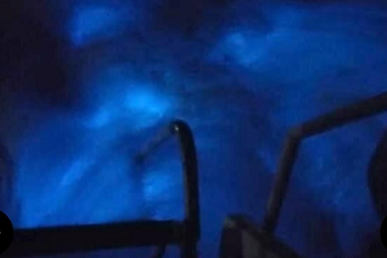 Luminous lagoon : Night Tour from Ocho Rios and Runaway Bay