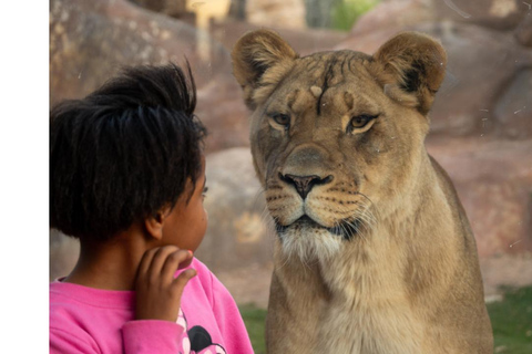 Zoológico de Phoenix: ingresso geral de um dia