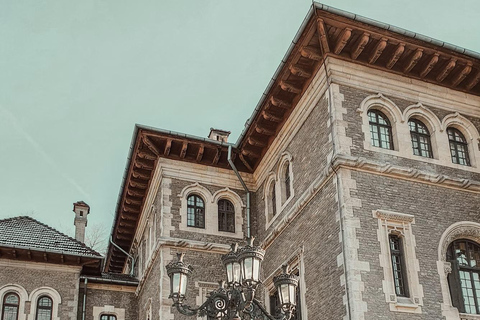 Bucharest: Transylvania Castles Tour with Dinner