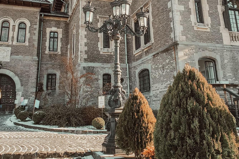 Bucharest: Transylvania Castles Tour with Dinner