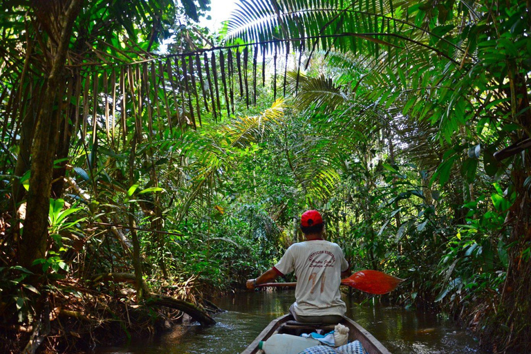 Exploring the Amazon: Adventure Day from Iquitos