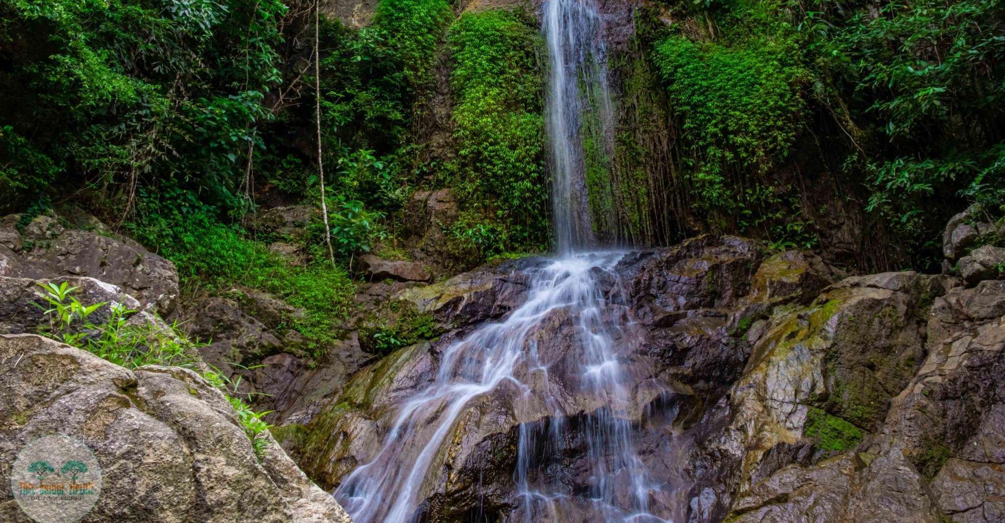 Von Koh Samui, Tree Bridge Zipline und Café Experience - Hizvo