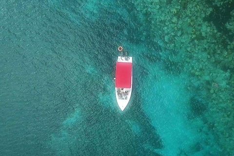 Martynika: Całodniowa wycieczka łodzią po karaibskim wybrzeżu