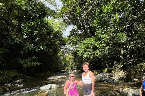 Excursion à El Yunque, rivière et toboggans aquatiques