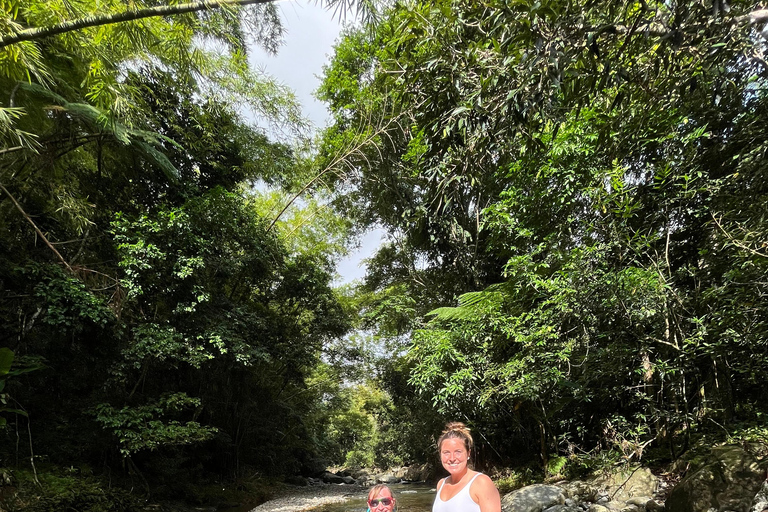 Excursion à El Yunque, rivière et toboggans aquatiques