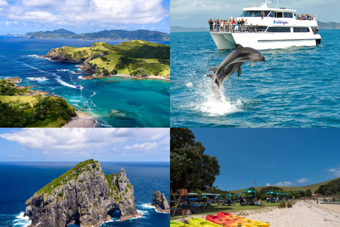 Auckland: Bay of Islands Day Tour mit Delphin-Kreuzfahrt