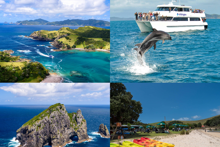 Auckland: Excursión de un día a la Bahía de las Islas con Crucero con Delfines