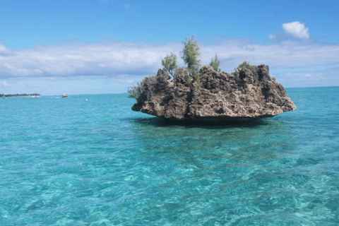 Bateau à moteur sur l&#039;île aux Bénitiers + nage avec les dauphins et déjeuner