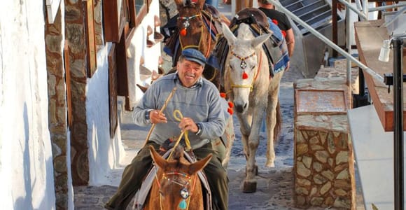 Santorini: Horse & Donkey Riding Through Volcanic Lanscapes
