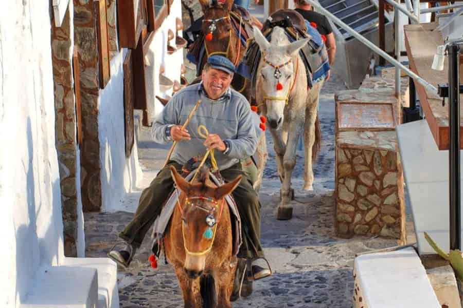 Santorin: Reiten auf Pferden und Eseln durch Vulkanlandschaften. Foto: GetYourGuide Santorin: Reiten auf Pferden und Eseln durch Vulkanlandschaften. Foto: GetYourGuide