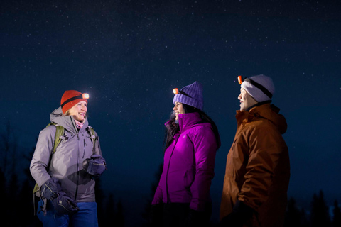 Banff/Canmore: PRIVATE Stargazing & Northern Lights Tour