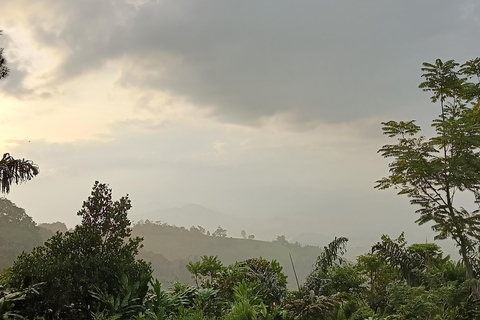 Mount Sago: Summit Zen & Palm Sugar Tour" Summer Experience ; Sikabu-kabu