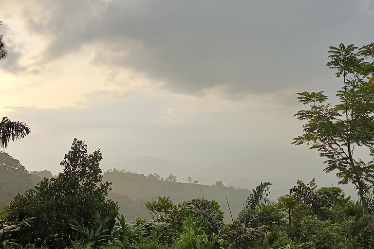 Mount Sago: Summit Zen & Palm Sugar Tour" Summer Experience ; Sikabu-kabu