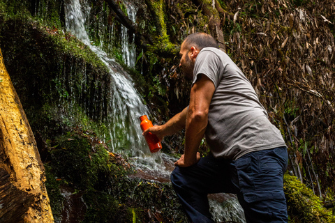 Whirinaki Forest Footsteps wandeltour met gidsWhirinaki Forest Footsteps Wandeltour met gids