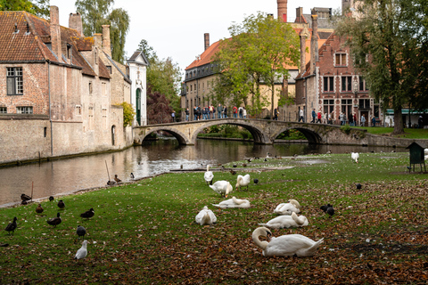Excursion to Antwerp, Ghent, and Bruges from Brussels