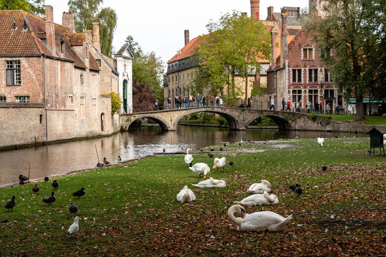 Excursion to Antwerp, Ghent, and Bruges from Brussels