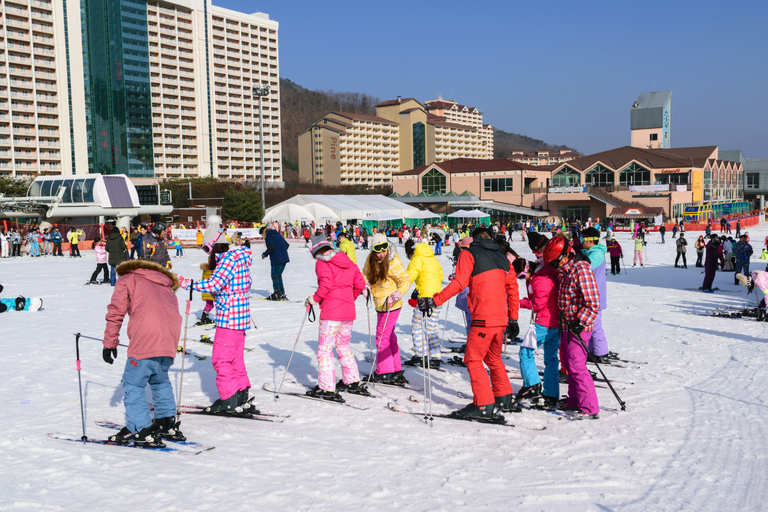 From Seoul: Vivaldi Park Ski World with Eobi Ice ValleyTransport Only - Meeting at Myeongdong