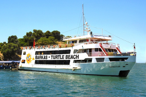 Marmaris: Turtle Beach, Mud Bath and Thermal Pool By Boat Marmaris Turtle Beach Tour w/Boat