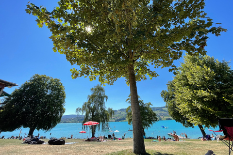 Swiss Highlights: Guided Zürich, Lucerne, Basel & Bern tour