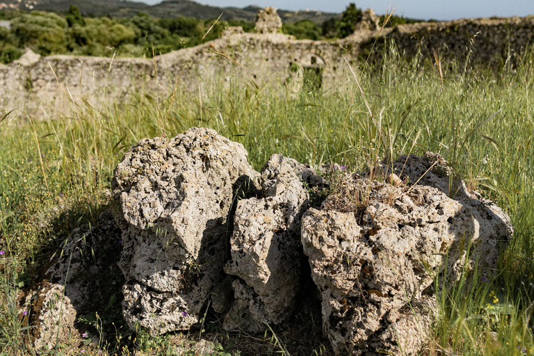 Corfu: Olijfolie ervaring - De Gouverneur's OlijfmolenCorfu: olijfolie-ervaring - de olijfmolen van de gouverneur