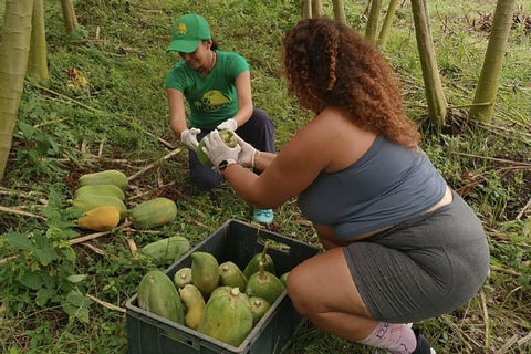 UTV & Horseback Tour with Wildlife Views from Cartagena