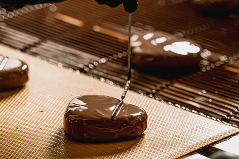 Guided tour of the chocolate factory and tasting in Trèbes Self-guided tour of our workshops