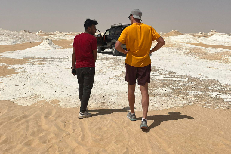 Le Caire: excursion d'une journée dans le désert et l'oasis de Bahariya avec repas