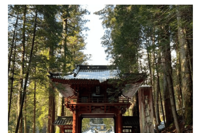 From Tokyo: Nikko Private Tour In Luxury Prado Lowest Price