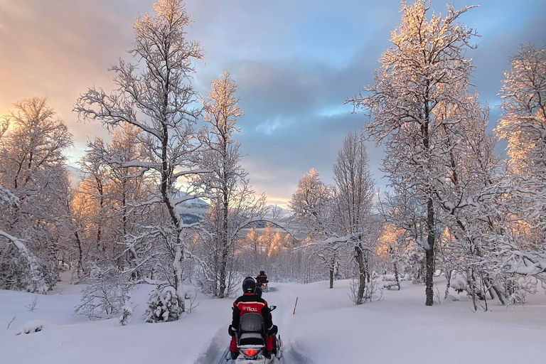From Tromso: Eco Luxury Snowmobile Adventure to Lyngen Alps