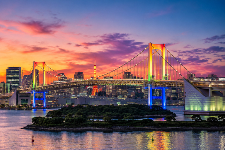 Tokyo Private Customizable City Highlights Guided Tour