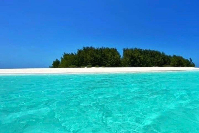 Zanzibar: Mnemba Island Boat Tour, Turtle Swim & The Rock Private Tour without Hotel transfer