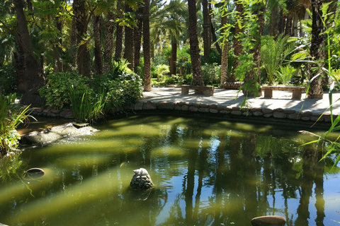 Vanuit Alicante: Tour naar de Nationale Botanische Tuin