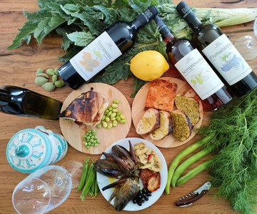 Agrigento: Vineyards and Wine Tasting Experience