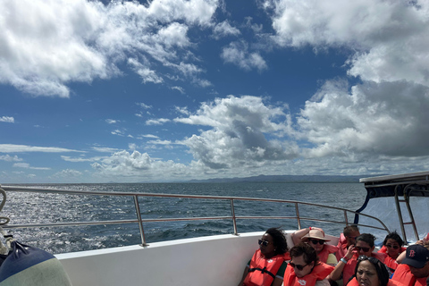 Rincon Beach och Cayo Levantado från Punta Cana