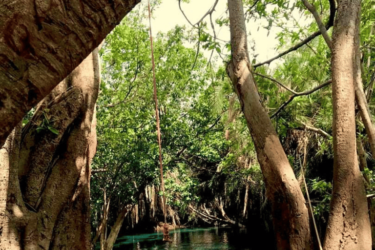 Arusha: 3-Day Tarangire Safari & Kikuletwa Hot Springs